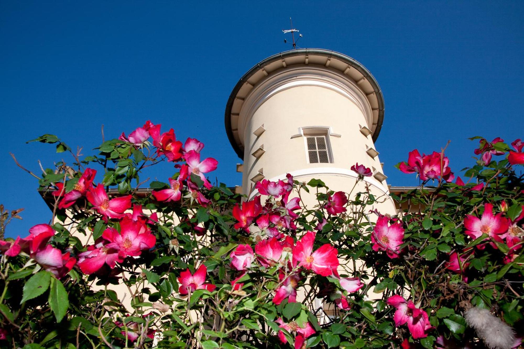 Chateau De Bellevue B&B Villié-Morgon Exterior foto